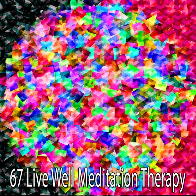 67 Live Well Meditation Therapy