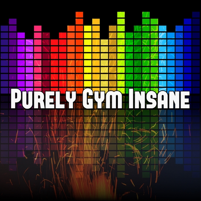 Purely Gym Insane