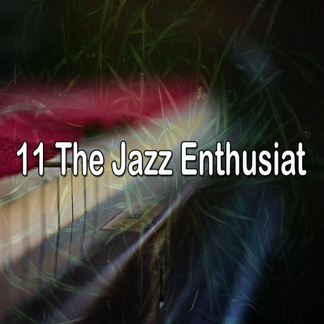 11 The Jazz Enthusiat