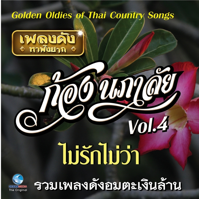 เพลงดังหาฟังยาก "ก้อง นภาลัย", Vol. 4