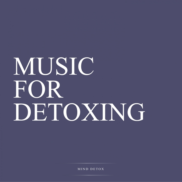 Couverture de Music for Detoxing