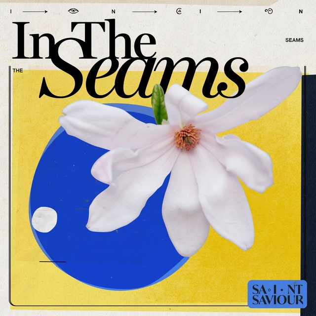 Couverture de In the Seams