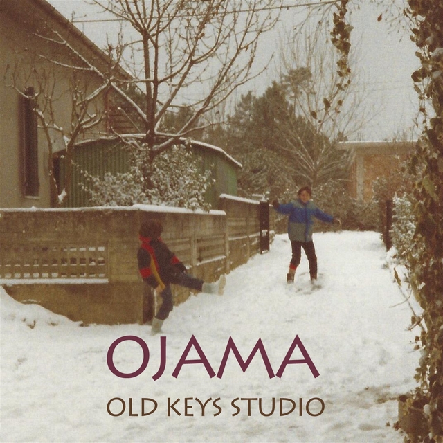 Couverture de old key studios