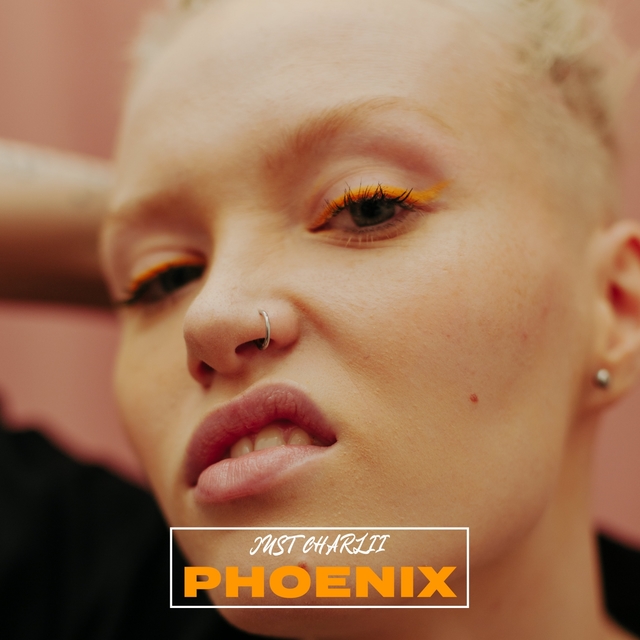 Couverture de Phoenix