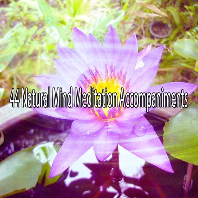 44 Natural Mind Meditation Accompaniments