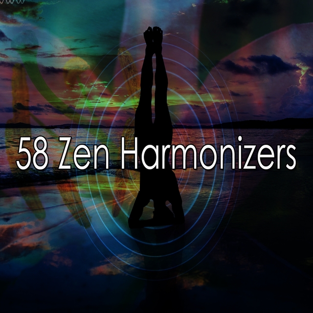 Couverture de 58 Zen Harmonizers