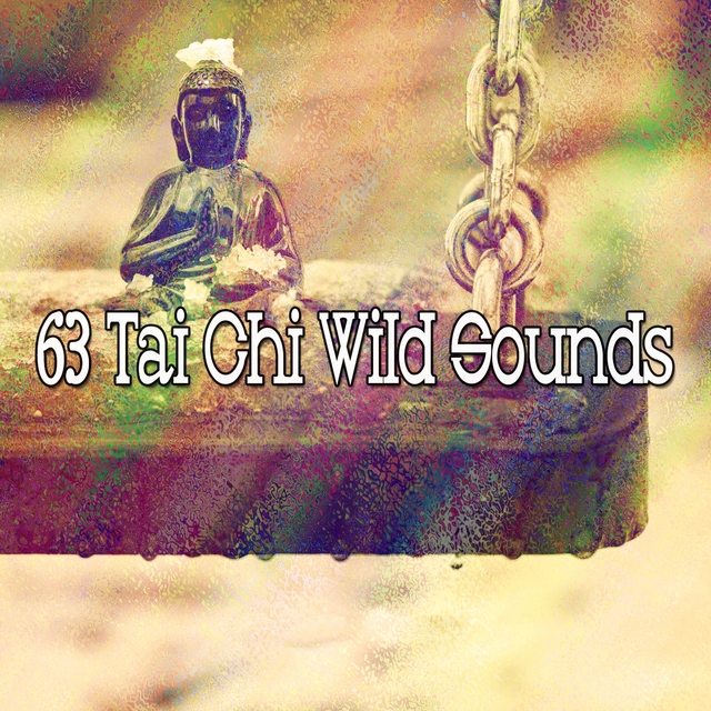 Couverture de 63 Tai Chi Wild Sounds