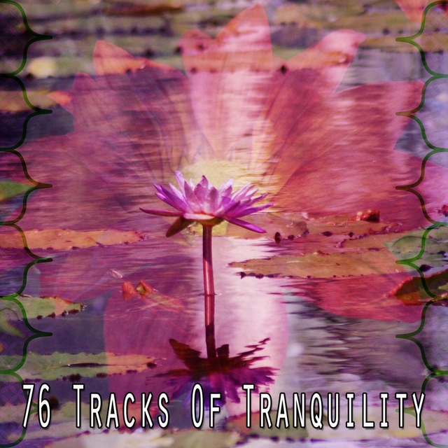 Couverture de 76 Tracks of Tranquility