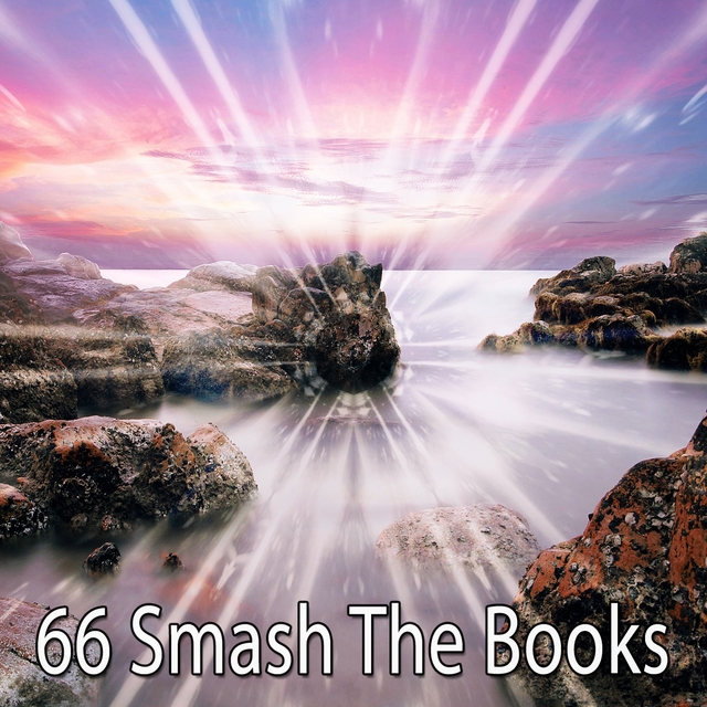 Couverture de 66 Smash the Books