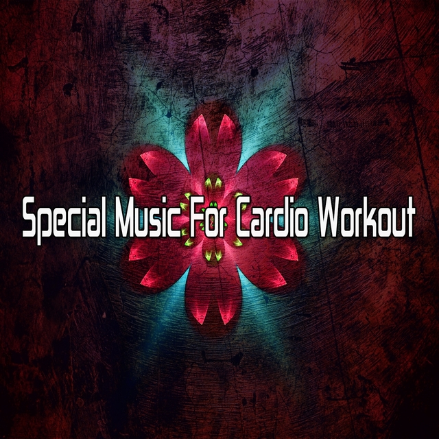 Couverture de Special Music for Cardio Workout