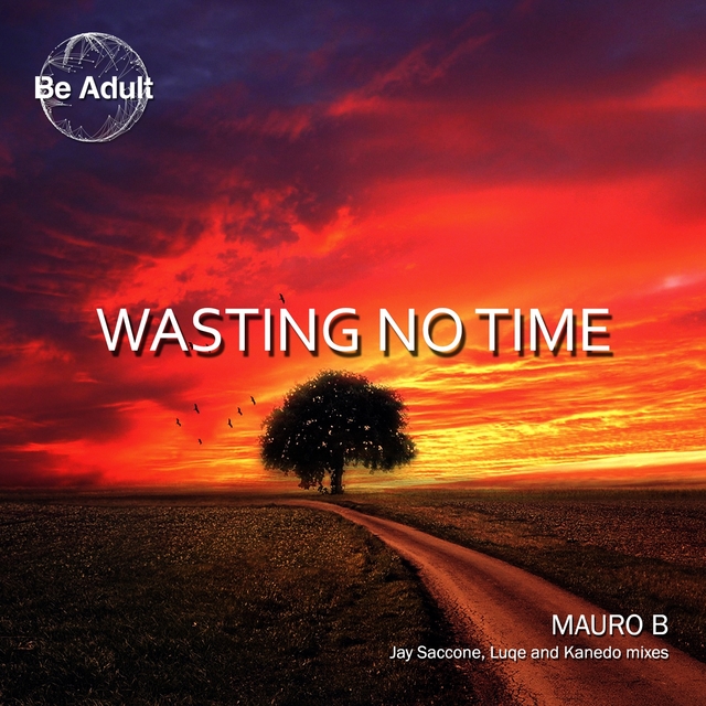 Couverture de Wasting No Time