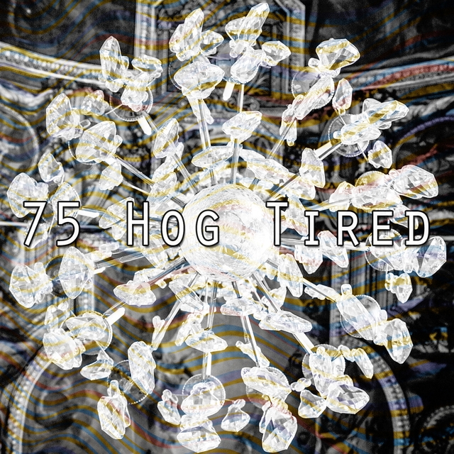 Couverture de 75 Hog Tired