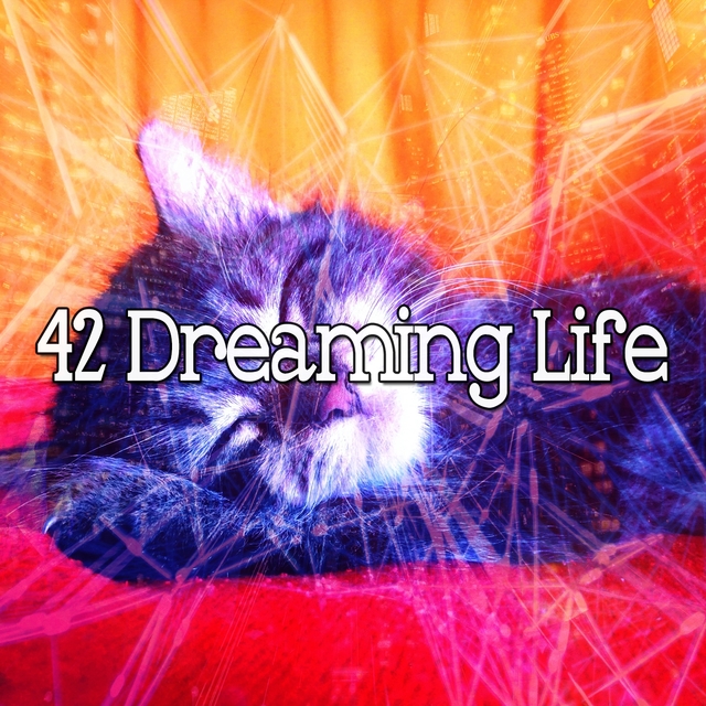 42 Dreaming Life