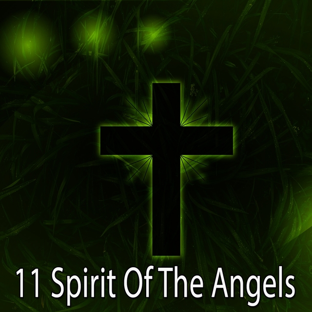 Couverture de 11 Spirit of the Angels