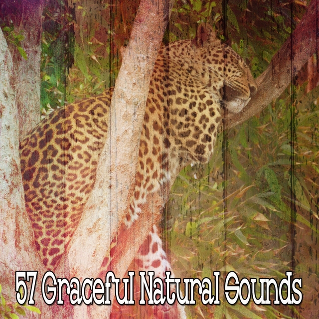 57 Graceful Natural Sounds