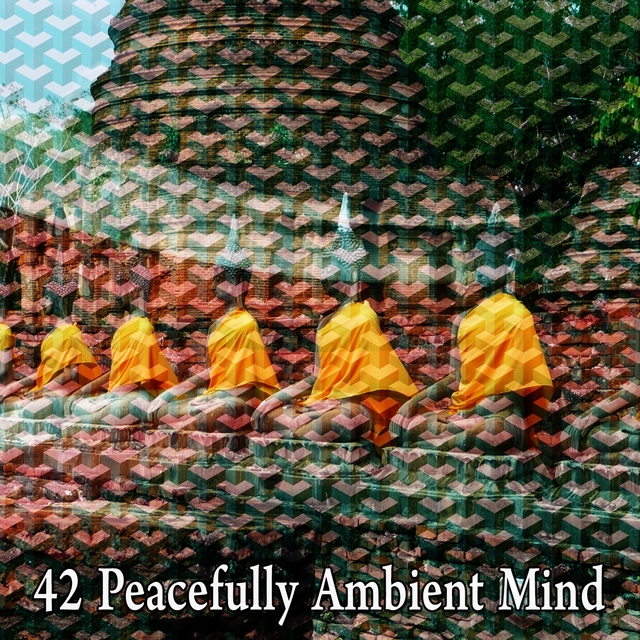 42 Peacefully Ambient Mind