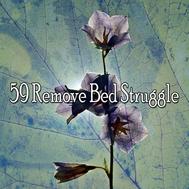 59 Remove Bed Struggle