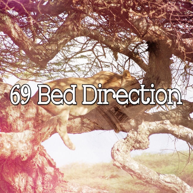 Couverture de 69 Bed Direction