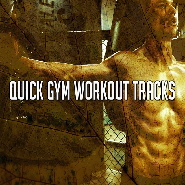 Quick Gym Workout Tracks