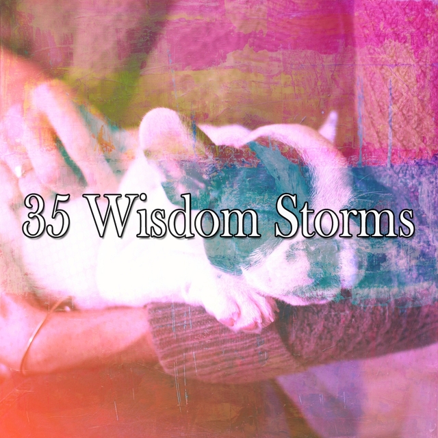 Couverture de 35 Wisdom Storms