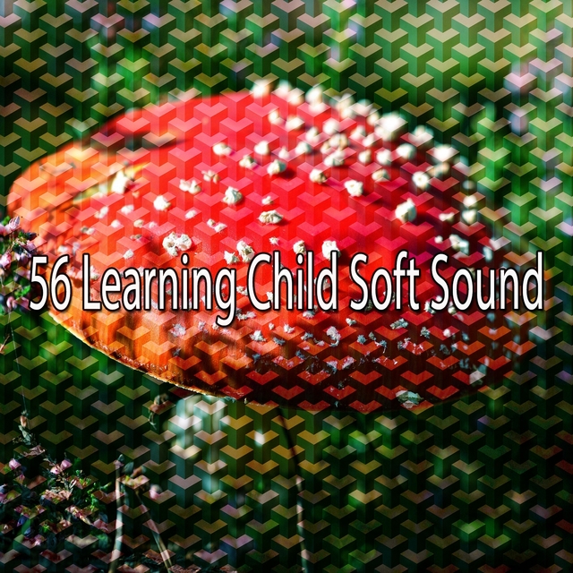 56 Learning Child Soft Sound