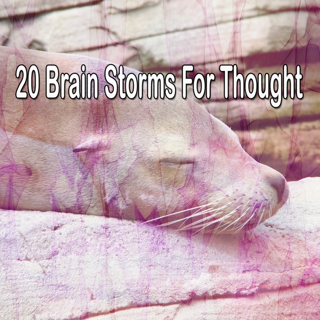 20 Brain Storms for Thought