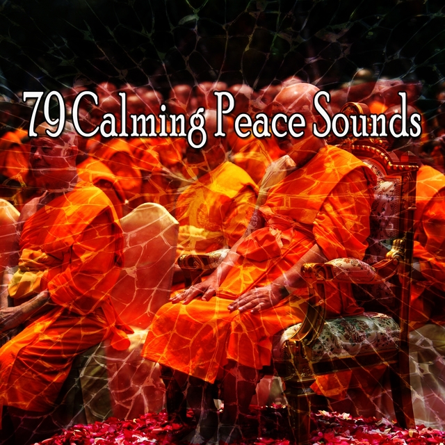 Couverture de 79 Calming Peace Sounds