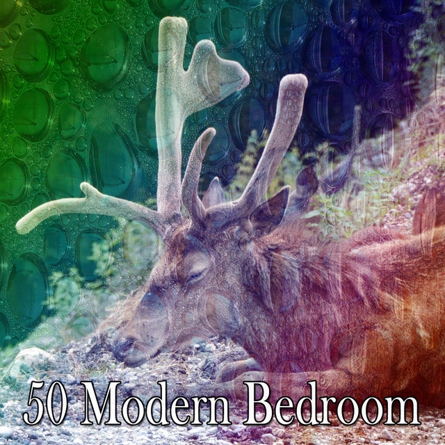 Couverture de 50 Modern Bedroom