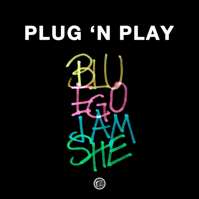 Couverture de Plug 'n Play