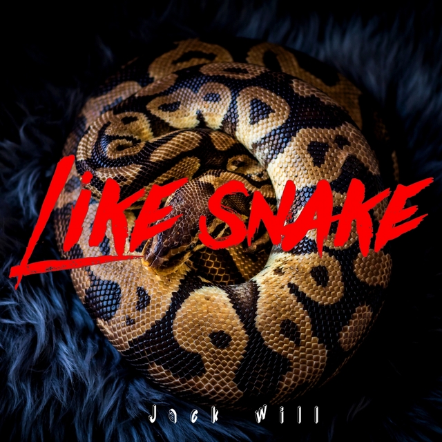 Couverture de Like snake