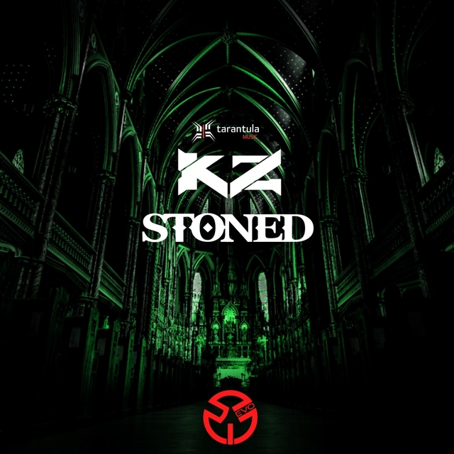 Couverture de Stoned