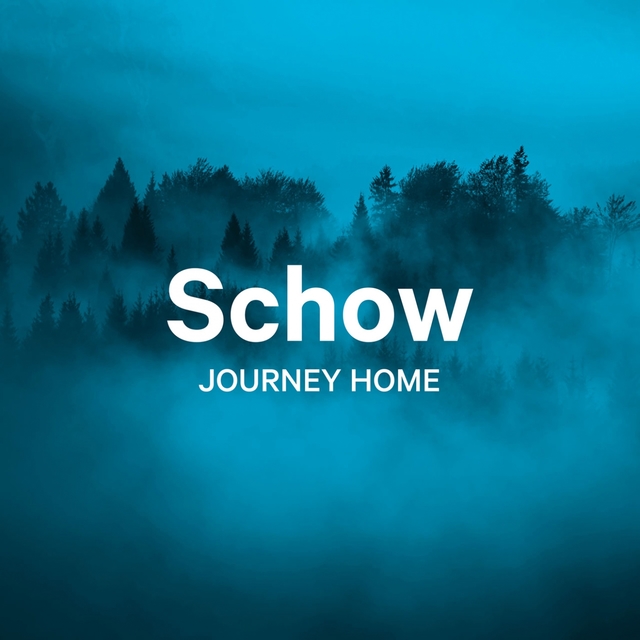 Couverture de Journey Home