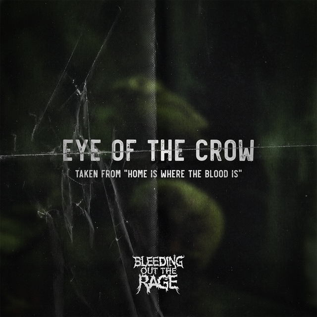 Couverture de Eye of the Crow