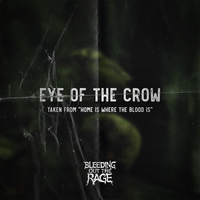 Eye of the Crow