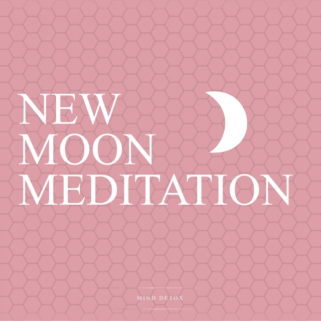 Couverture de New Moon Meditation