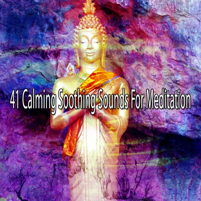 Couverture de 41 Calming Soothing Sounds for Meditation