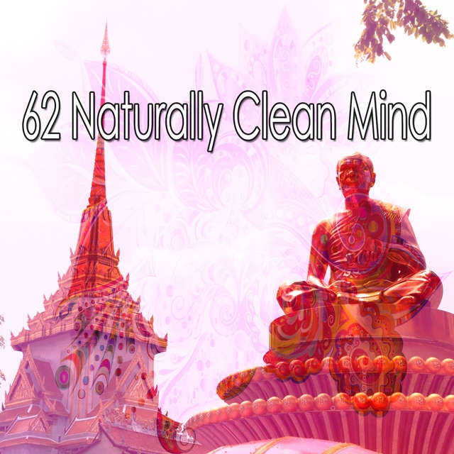 Couverture de 62 Naturally Clean Mind