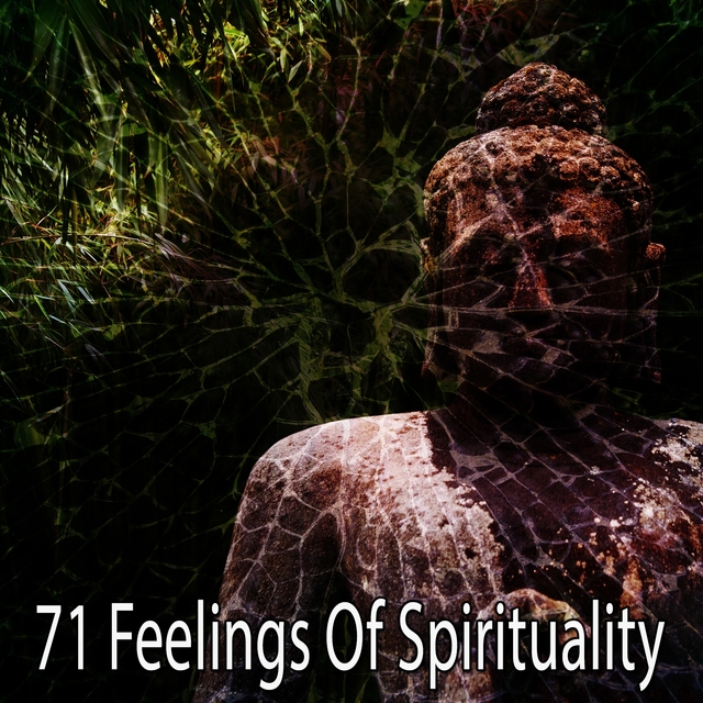 71 Feelings of Spirituality