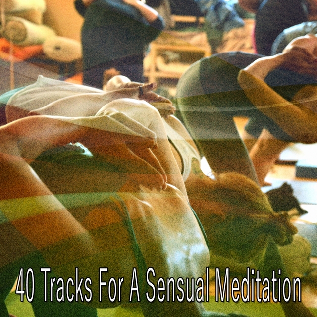 40 Tracks for a Sensual Meditation