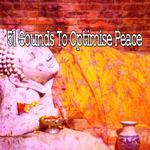 Couverture de 51 Sounds to Optimise Peace