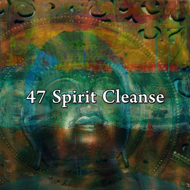 Couverture de 47 Spirit Cleanse