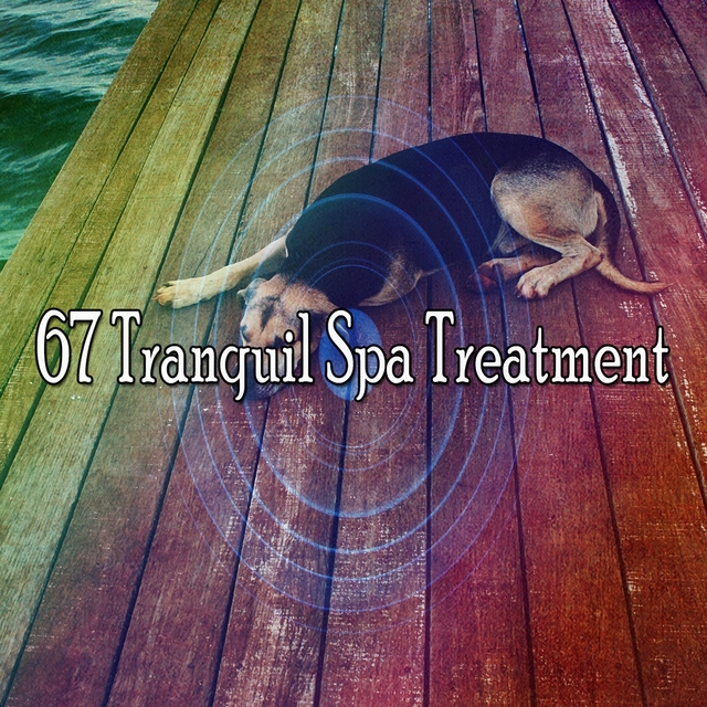 67 Tranquil Spa Treatment