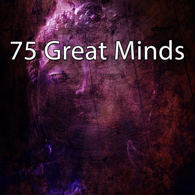 Couverture de 75 Great Minds