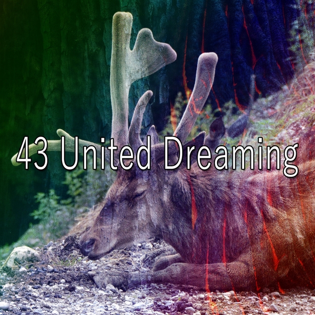 Couverture de 43 United Dreaming