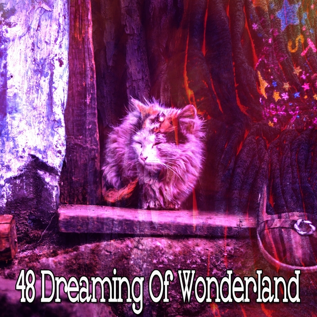 48 Dreaming of Wonderland