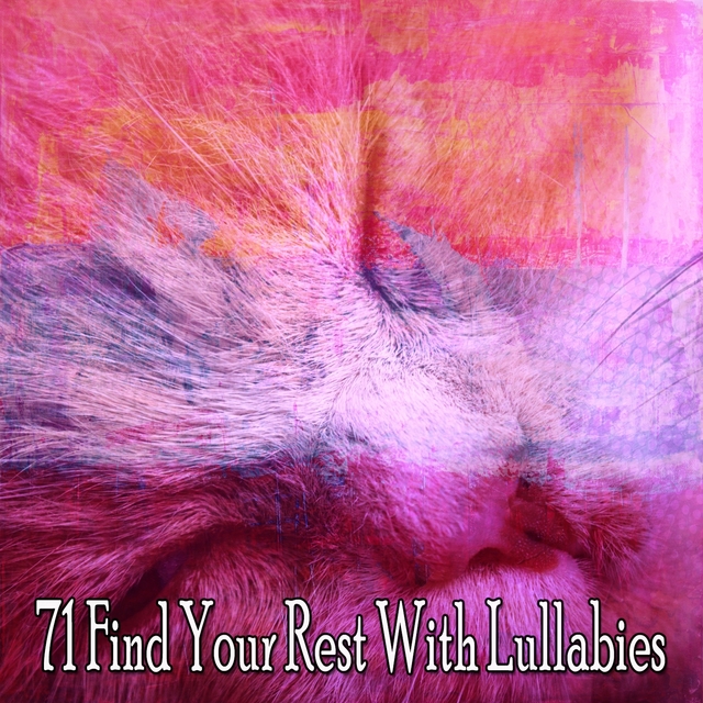 Couverture de 71 Find Your Rest with Lullabies