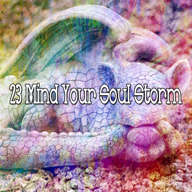 Couverture de 23 Mind Your Soul Storm