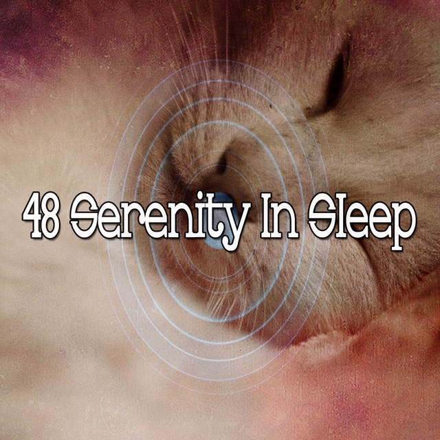 48 Serenity in Sleep