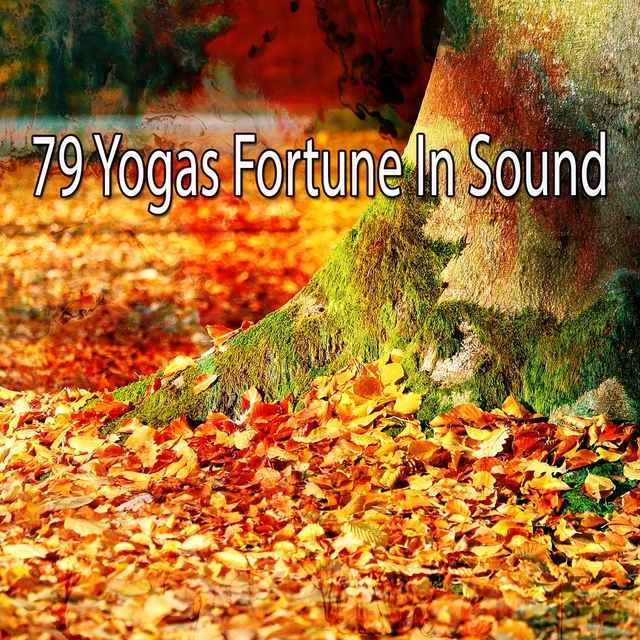 Couverture de 79 Yogas Fortune in Sound