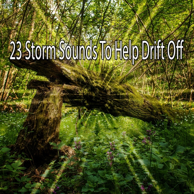 23 Storm Sounds to Help Drift Off